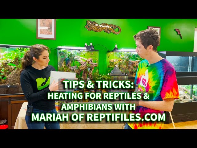 Tips & Tricks: All about reptile & amphibian heating - Creating bioavailable wavelengths of heat