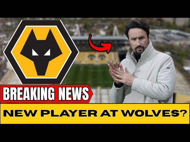 🟡⚫ WOLVERHAMPTON WANDERS NEWS WOLVES: New player at Wolves?