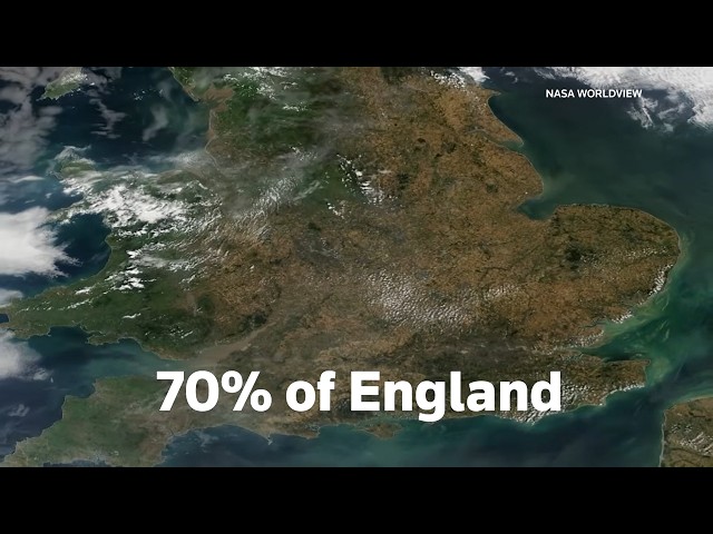 As drought scorches England, one farm stays green