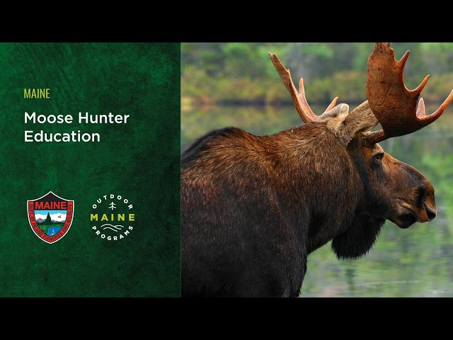Module 4 - Moose Hunting Tactics