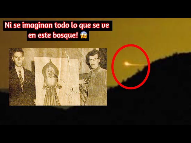 APPALACHIA: UNA DE LAS ZONAS MÁS MISTERIOSAS y los avistamientos extraños que hay son 😳 WOW