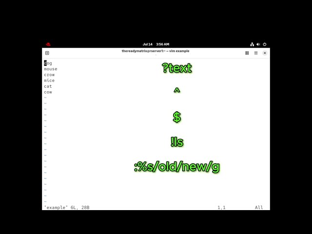 Lab Tutorial #8: Mastering Vim [Part 4 of 4]