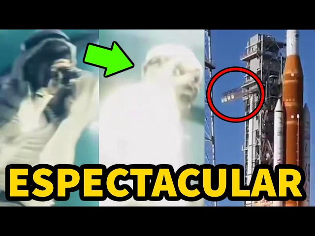 Urgente Su CAMUFLAJE Falló! Se Están Riendo De Ti