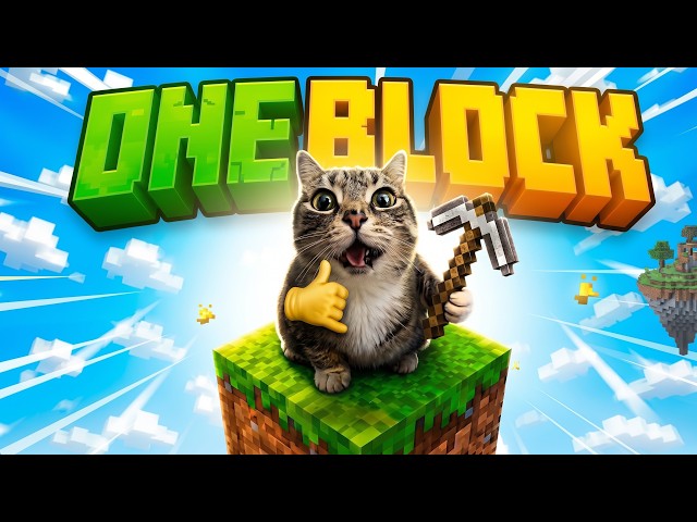 Minecraft One Block With Cats!