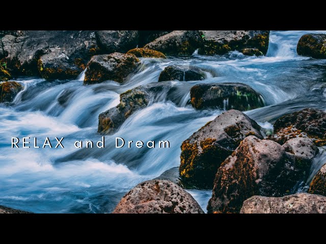 🌊 Sonidos relajantes para DORMIR profundamente | Sonidos del RIO 😴💤