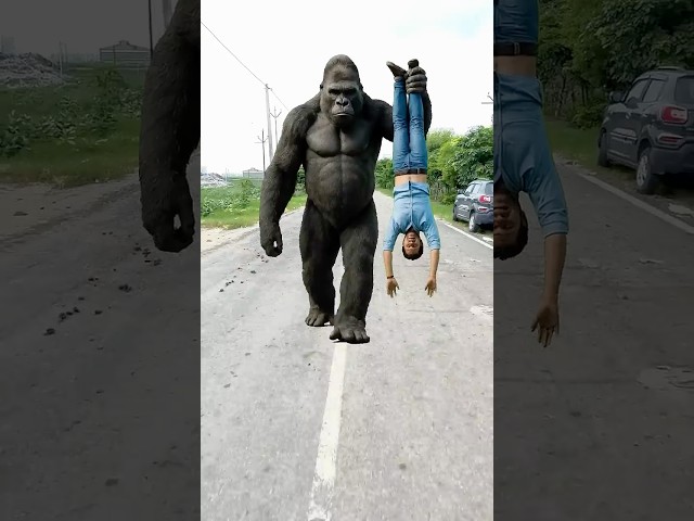Gorilla Ko Pel Diya P-2 😂🤣 #youtubeshorts #shorts #comedy #gorilla #funny #trending