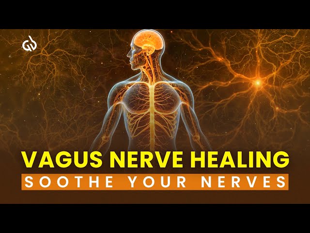 Nervous System Healing Frequency: Soothe & Reset Your Vagus Nerve Naturally