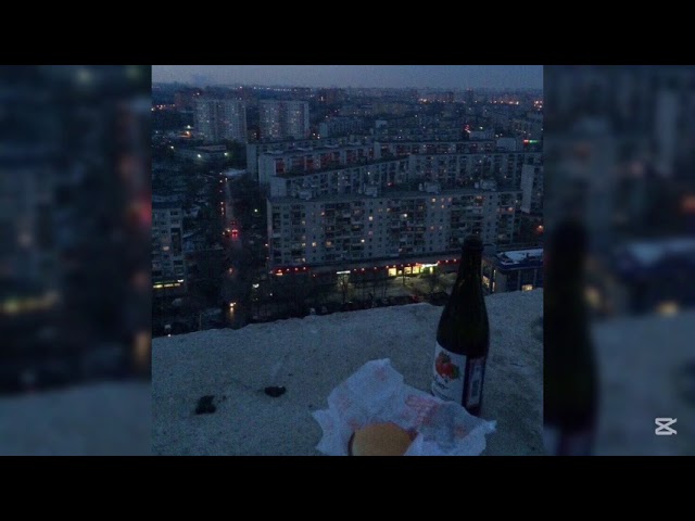 I hope I'll see you again (Official Audio)