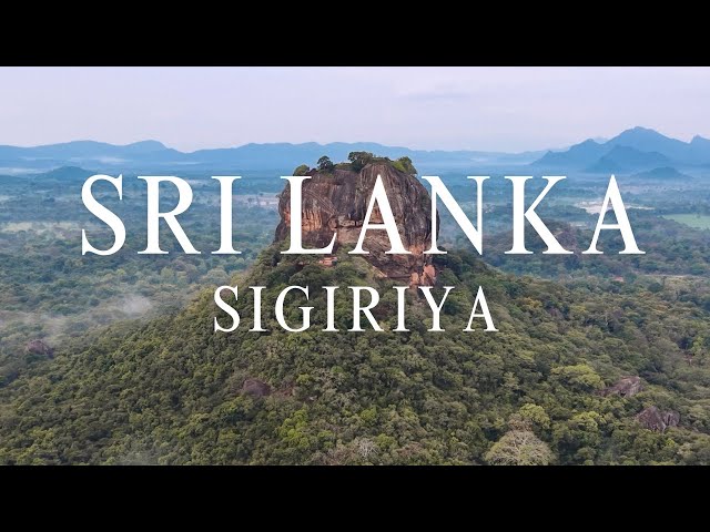 Sri Lanka Solo Travel Vlog 🇱🇰｜Sigiriya, Elephants, Dambulla & Village Tour