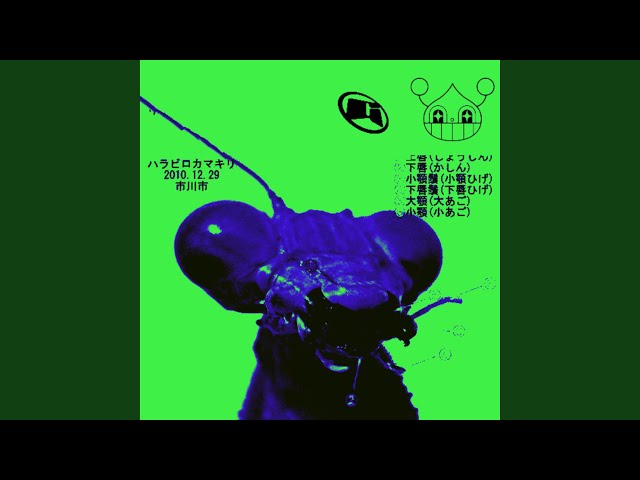 Creepy Crawlers (feat. Golemm)