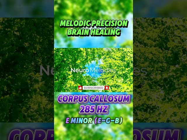 Corpus Callosum Healing 285 Hz Frequency & E Major Chords #healingmusic #285hz  #relaxingmusic