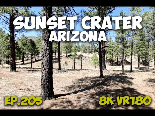 Ep.205 Sunset Crater Arizona – Recovered Forest Growing on Volcanic Ground 8K VR180 3D Travel