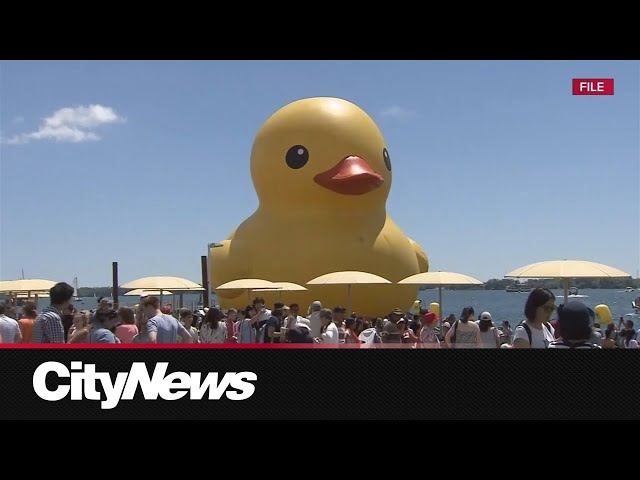Toronto Waterfront Festival cancelled for 2026, expected to return in 2027