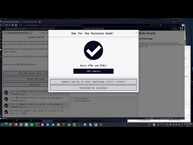 I Do The Responsive Web Design HTML Section From Free Code Camp