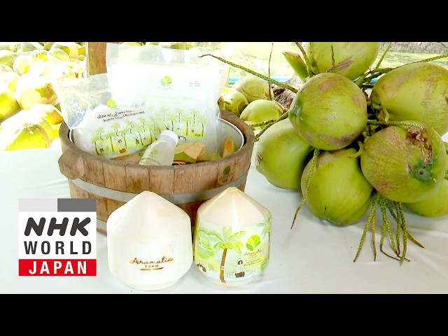 Thailand's Coconut Wars - Asia Insight