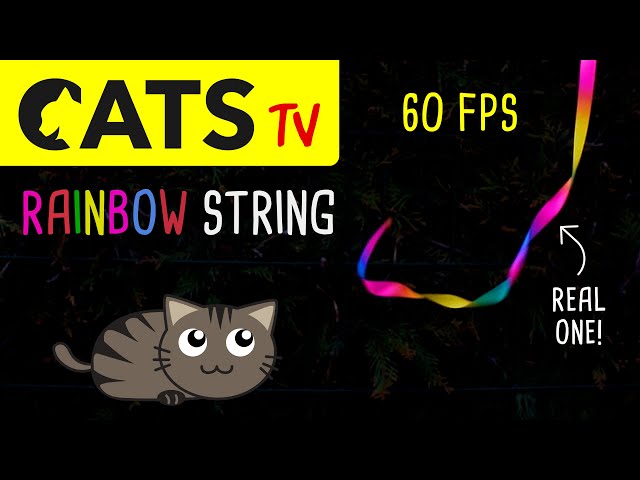 CATS TV - Rainbow String Thing 60FPS - 3 HOURS (Game for cats to watch)