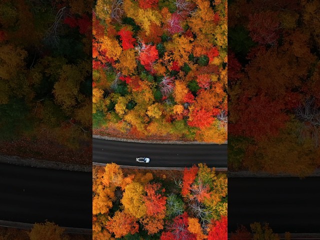 📍New Hampshire Fall Foliage!  #NewHampshire #fallseason #fallfoliage #autumn #fall #fallcolors