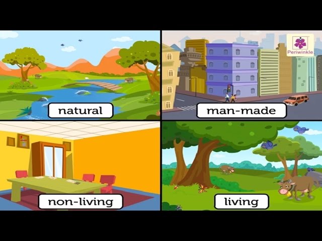 Natural And Man Made Things | Environmental Studies Grade 3 | Periwinkle