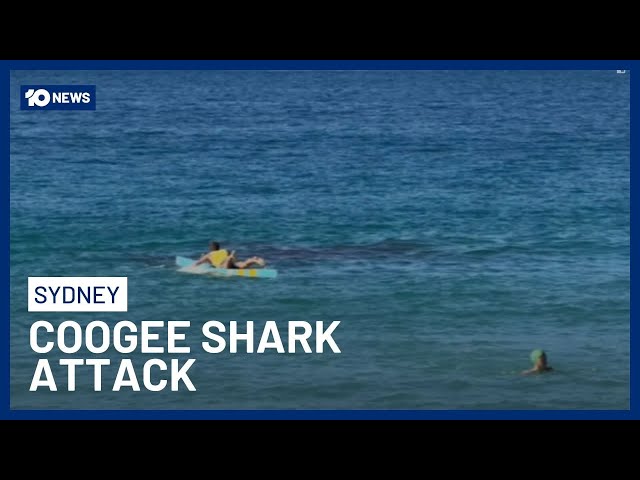 Shark Attack At Coogee Beach Leaves Swimmer Fighting For Life | 10 News
