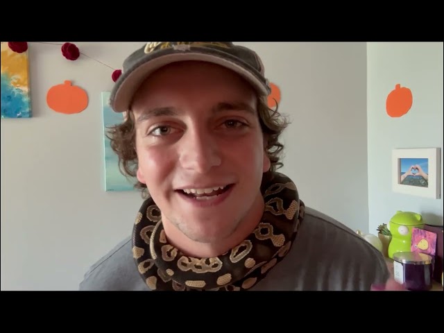 🐍 Happy World Snake Day!!! 🐍