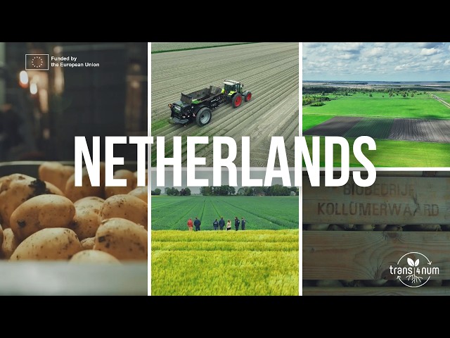 Can crop nutrition be circular, effective and fully plant-based? | trans4num
