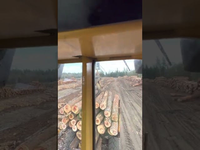 Little bit of wood sorting