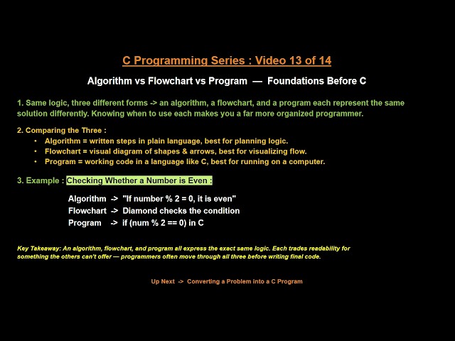 Algorithm vs Flowchart vs Program | Difference Explained with Example | C Programming Series #13