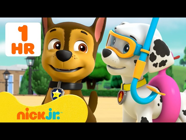 PAW Patrol Beach Rescue Missions! 🔥🌊 w/ Chase & Marshall | 60 Minutes | Nick Jr.