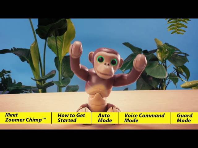 Zoomer | Zoomer Chimp | How To Play With Zoomer Chimp