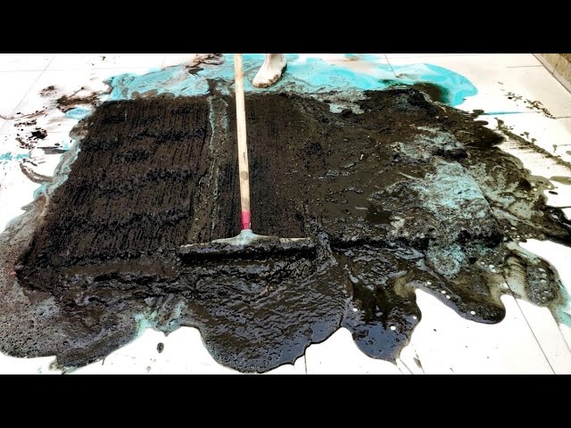 Satisfying Deep Carpet Cleaning TIME LAPSE | Extremely Muddy Rug Restoration | ASMR Video Cleaning