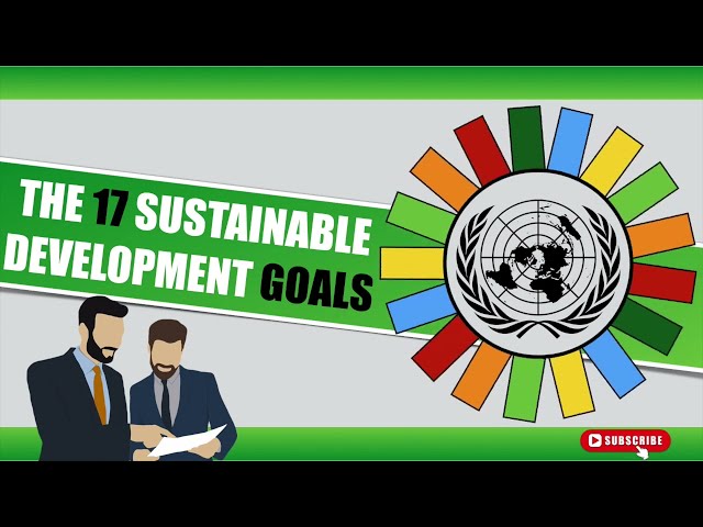 Sustainable Development Goals (SDG’s) Explained in 5 Minutes! 