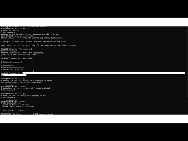 Database Administration and Security
