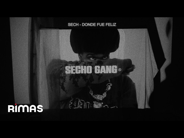 Sech - DONDE FUE FELIZ (Visualizer)
