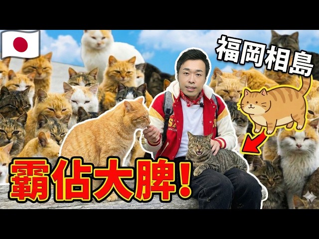 [Super fat cat dominates thigh] Fukuoka Aijima cats are more than people! I'm so shy when I see p...