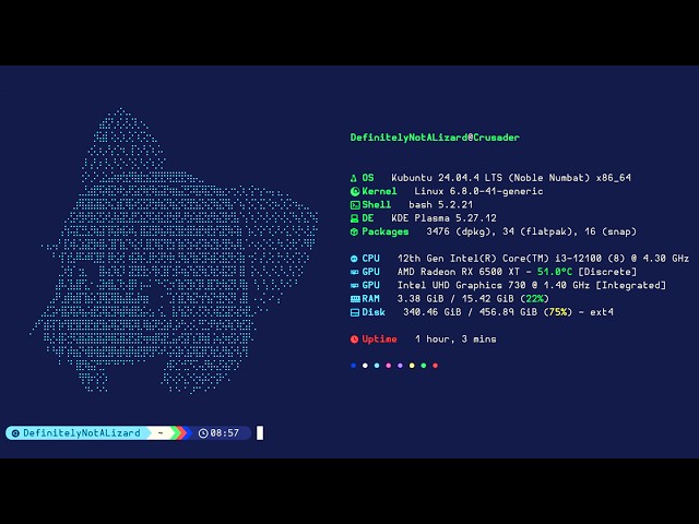 How to Make the Terminal look Amazing | Linux Ricing Tutorial