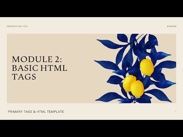 Basic HTML Tags
