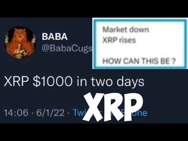 Ripple XRP COLLAPSE NOW! NOW!! NOW!!!!!