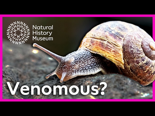 What is the definition of venom? | Surprising Science