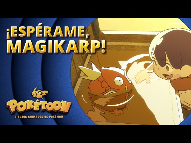 ¡Espérame, Magikarp! 🧡 | Corto animado de POKÉTOON
