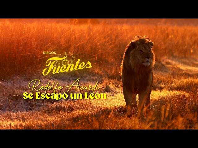 Se Escapo Un Leon - Rodolfo Aicardi Con Los Idolos (Video Letra) | Discos Fuentes
