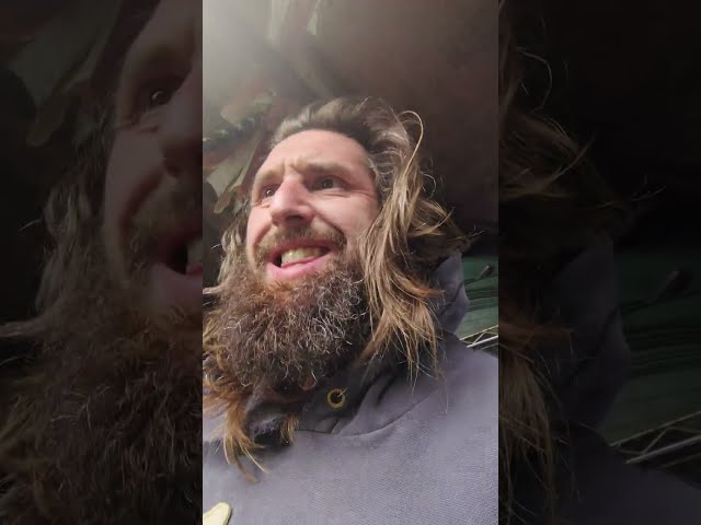 Indoor Cannabis Garden #gardening  