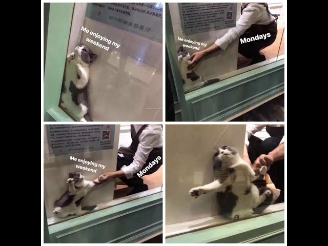 COMP 2452 Winter 2026 Lecture 4