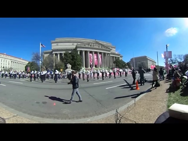 Cherry Blossom Festival 2017 (2)