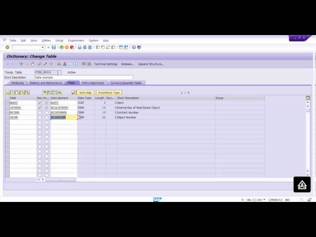 How to Working with Table Maintenance Generator