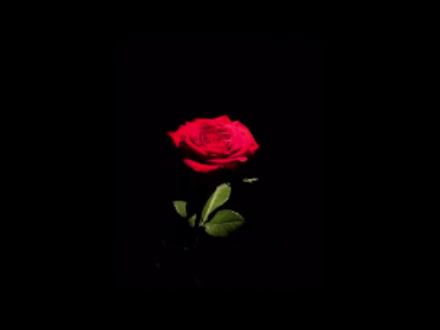 The Beginning (OFFICIAL AUDIO)