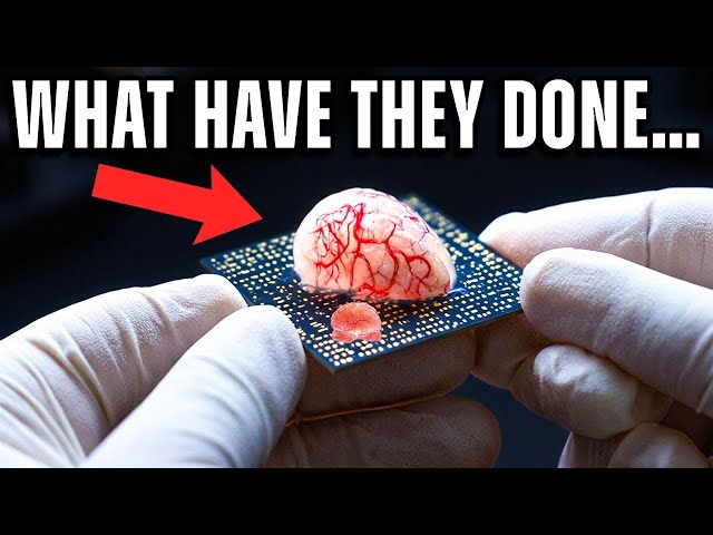 We're Not Ready for What They're Puting Inside Our Computers