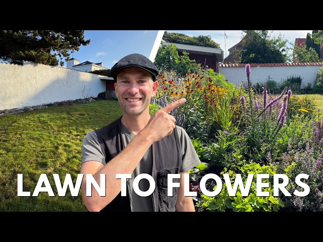 How We Turned a Lawn into a Flower Bed | No-Dig Garden Results After 6 Months