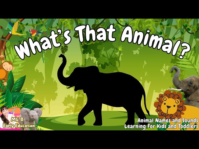 Animals for Kids | 2 Hour Animal Sounds & Names Compilation | Zoo, Wild, Farm & Sea Animals