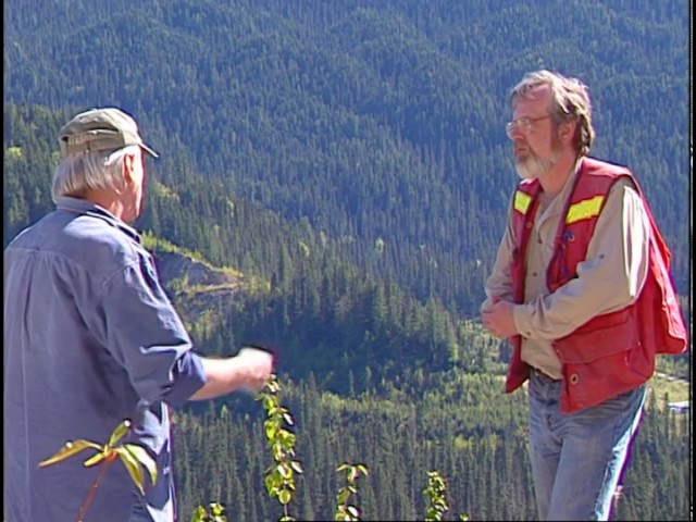 Landscape Modifications of the Soil Formation Processes, Example of Morkill Valley, BC