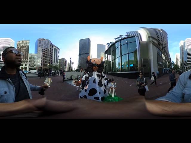 A cow in the city